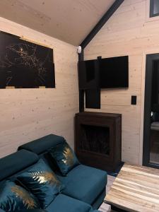 a living room with a couch and a flat screen tv at Złota Szyszka Radawa in Radawa