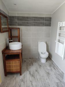 a bathroom with a toilet and a sink at chambre indépendante in Gujan-Mestras +41 photos