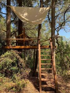 Φωτογραφία από το άλμπουμ του Pelekas Olive Grove Oasis Room No4 στον Πέλεκα +13 φωτογραφίες