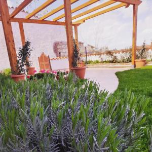 einen Garten mit einer Pergola und lila Pflanzen in der Unterkunft Casa sui Tetti in Ozieri