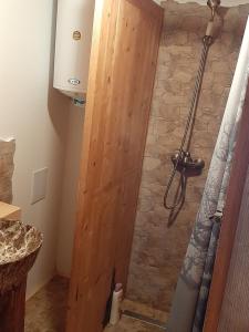 a shower with a wooden door in a bathroom at Cabana Mos in Statjunea Borsa