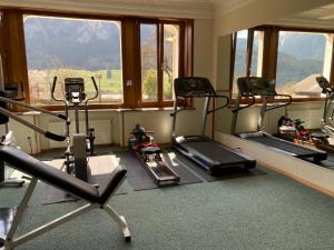 Fitnes oz. oprema za telovadbo v nastanitvi Le Chalet Rosat Apartment 25