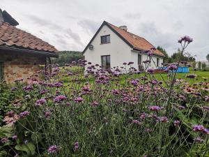 Fotografia z galérie ubytovania Siedlisko Orzechówko v destinácii Orzechówko