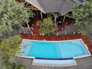 オカウクエジョにあるEtosha Oberland Lodgeの庭のスイミングプールの景色