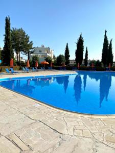 a large swimming pool with blue water at Owls Nest Townhouse in Paphos