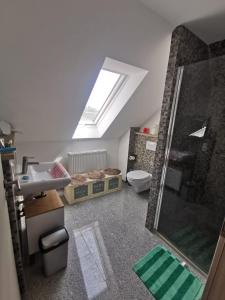 uma casa de banho com um chuveiro, um lavatório e um WC. em Schmetterling Zimmer em Bad Lausick