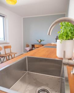 a kitchen sink with a potted plant on the counter at Design+Bodenseesicht=zuHause BLAU in Markdorf