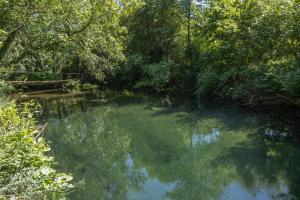 une rivière au milieu d'une forêt dans l'établissement Riba Rio - Unique Nature Spot, à Ponte de Lima