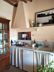 kuchnia z lodówką i zlewem w obiekcie Nocini di Maremma w mieście Tatti