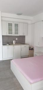 Kuchyň nebo kuchyňský kout v ubytování Apartman Nikolić 1