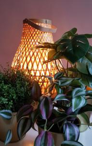 a lamp sitting next to a potted plant with a plant at BnB Antwerpen - CHARMANT in Antwerp