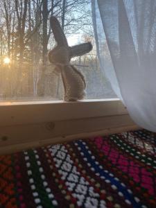 un conejo de peluche sentado en un alféizar de la ventana en La Padurea Mica en Cărbunari