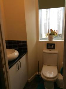 a bathroom with a toilet and a sink and a window at Ashgrove Bed and Breakfast in Kirkcaldy