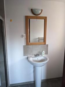 a bathroom with a sink and a mirror at Ranczo na skarpie in Frampol