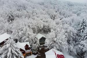 Το Vila Blanc Valiug Crivaia τον χειμώνα