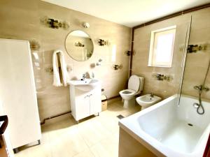 a bathroom with a sink and a toilet and a mirror at Casa Agroturistica Tarancuta din Vatra Moldovitei in Vatra Moldoviţei