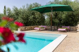 a pool with a green umbrella and purple chairs and a table with an umbrella at La Tana delle Stelle B&B di Charme e Relax in Fara in Sabina