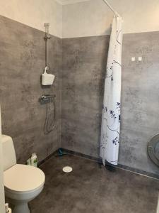a bathroom with a toilet and a shower curtain at Villa Nostan in Nybro