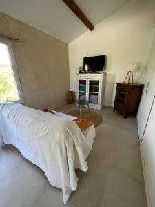 een slaapkamer met een bed en een tv in een kamer bij Cabanon entouré de montagnes et d'oliviers in Nyons