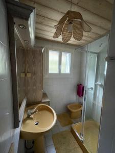 a bathroom with a sink and a shower and a toilet at maison du haut de FREYDON ambiance Montagne in Allevard
