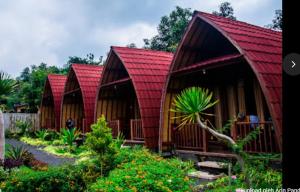 a row of huts with red roofs in a garden at Kintamani Cabins in Kintamani