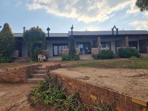 a house with a dog standing in front of it at Valley View dullstroom - check in at The Highlander Hotel in Dullstroom