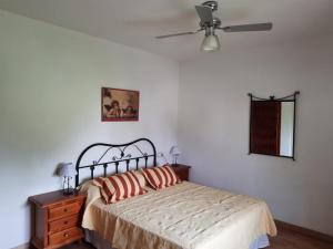 FINCA VALENZUELA في ميخاس: غرفة نوم بسرير ومروحة سقف
