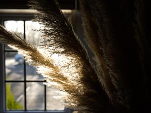 Fotografie z fotogalerie ubytování Beckdale v destinaci Pickering + 40 fotografií