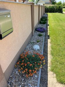 Zahrada ubytování Rajczi Apartman