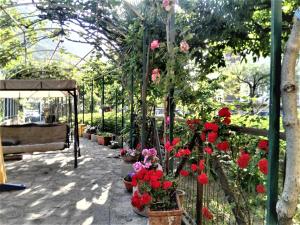 A garden outside Il Gelso