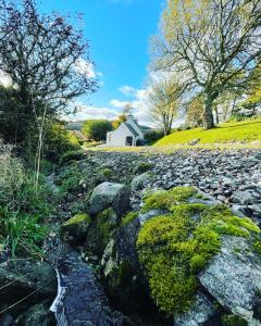 een rotsachtige weg met groen mos en een huis op de achtergrond bij Craggan in Dornoch