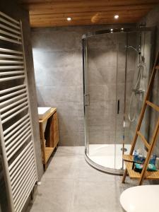 uma casa de banho com um chuveiro e uma cabina de duche em vidro. em Chalet Cathy et Michel em Seytroux