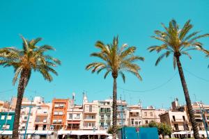 a group of palm trees in front of buildings at Fabrika Loft Serrallo in Tarragona