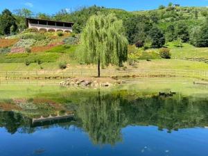un reflejo de un sauce llorón en un lago en Agriturismo Grammelot, en Sarnico