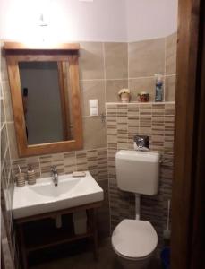 a bathroom with a sink and a toilet and a mirror at Hunyadi utcai garzon in Kaposvár