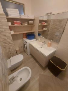 La salle de bains est pourvue d'un lavabo, de toilettes et d'un miroir. dans l'établissement FraSilvia, à Olbia