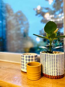 three vases sitting on a window sill with a plant at Cozy Flat 5 in Constanţa +43 photos
