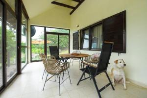 een hond naast een tafel en stoelen bij Weekendaya in Kladovo +29 foto's
