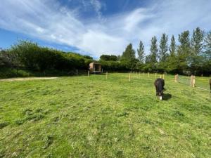 Fotografie z fotogalerie ubytování Neddys Rest Luxury Horsebox Stay v destinaci Battle