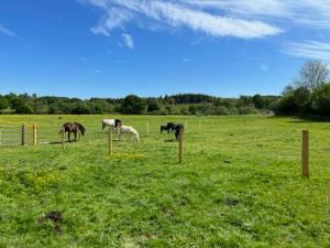 Fotografie z fotogalerie ubytování Neddys Rest Luxury Horsebox Stay v destinaci Battle