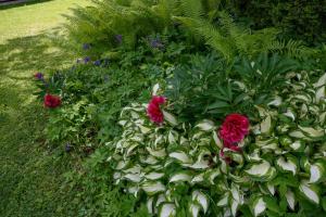 Giardino di Garten Appartement Harmony