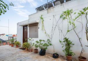 a white building with potted plants in front of it at Hotel Brundavan Homes in Hyderabad