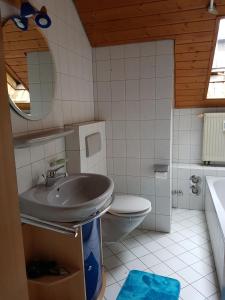 a bathroom with a sink and a toilet at Entspannt mit Hund in Schönwald