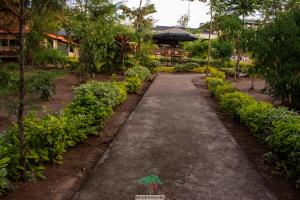 un chemin à travers un jardin avec des plantes dans l'établissement Oldarpoi Mara Camp, à Keekorok