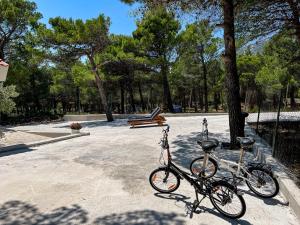 Jazda na bicykli v okolí ubytovania Villa Grammy