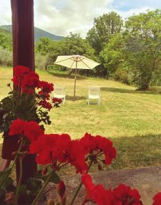 dos sillas y un paraguas en un campo con flores rojas en Agriturismo Botro, en Pulicciano