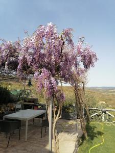 Zahrada ubytování B&B COLdiFIORE