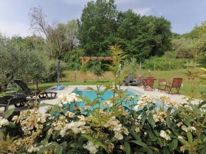 Bazén v ubytování B&B COLdiFIORE nebo v jeho okolí