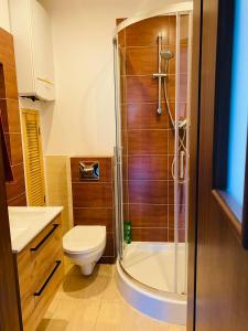 a bathroom with a shower and a toilet and a sink at Apartament Hallera in Gdynia