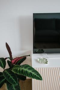TV a/nebo společenská místnost v ubytování EVA's Apartment